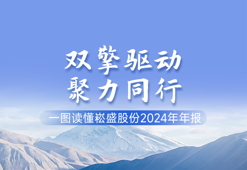 一图读懂 ▏德赢VWIN股份2024年年报