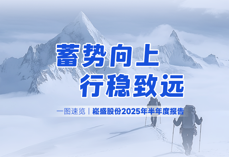 一图速览 | 德赢VWIN股份2025年半年度报告